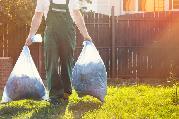 Best Electronics and E-Waste Disposal  in Braddock Heights, MD